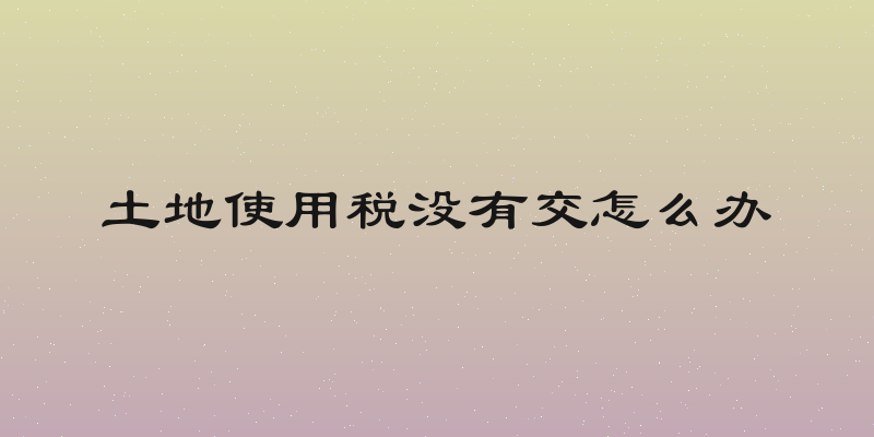 土地使用税没有交怎么办