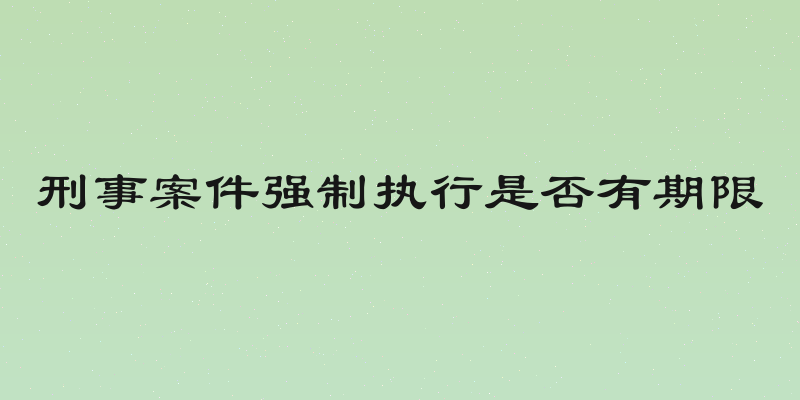 刑事案件强制执行是否有期限