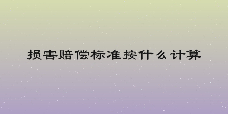 损害赔偿标准按什么计算