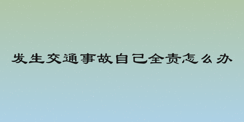 发生交通事故自己全责怎么办