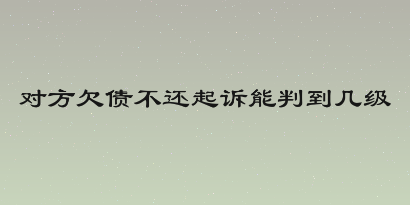 对方欠债不还起诉能判到几级