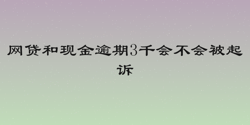 网贷和现金逾期3千会不会被起诉