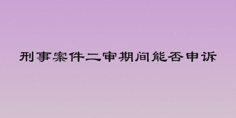 刑事案件二审期间能否申诉