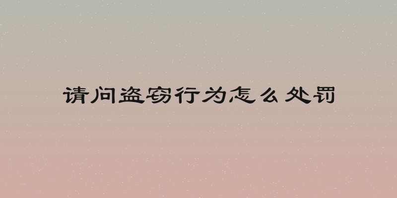 请问盗窃行为怎么处罚