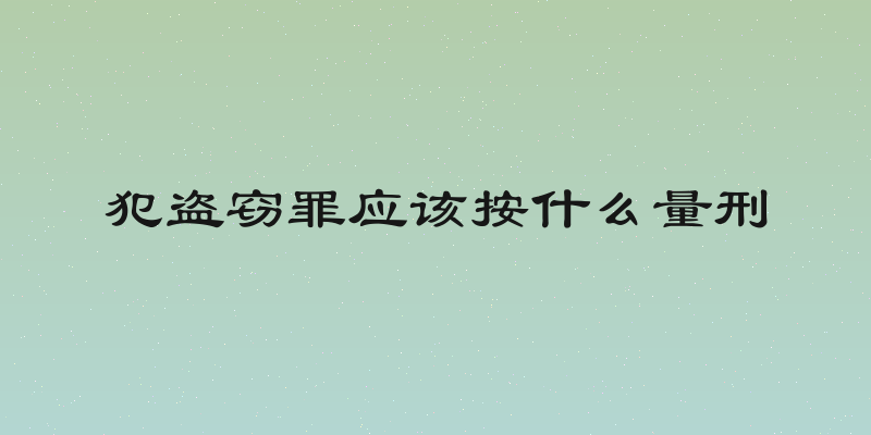 犯盗窃罪应该按什么量刑