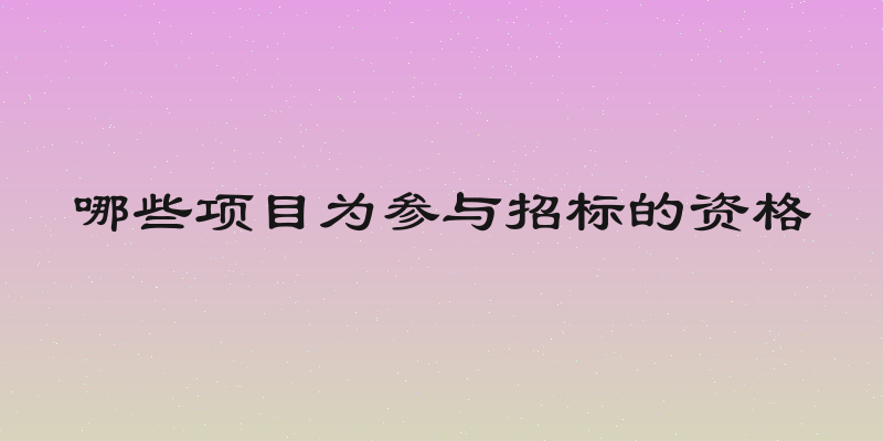 哪些项目为参与招标的资格