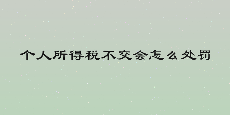 个人所得税不交会怎么处罚