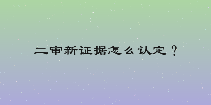 二审新证据怎么认定？