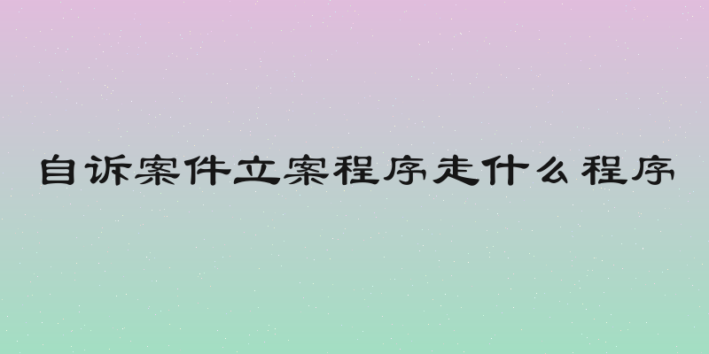 自诉案件立案程序走什么程序