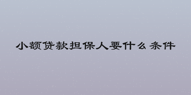 小额贷款担保人要什么条件