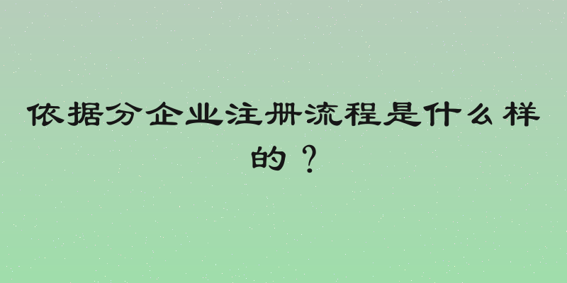 依据分企业注册流程是什么样的？