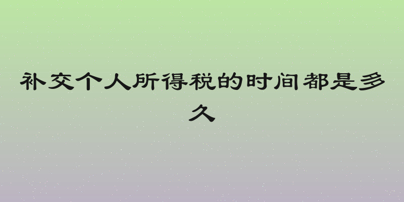 补交个人所得税的时间都是多久