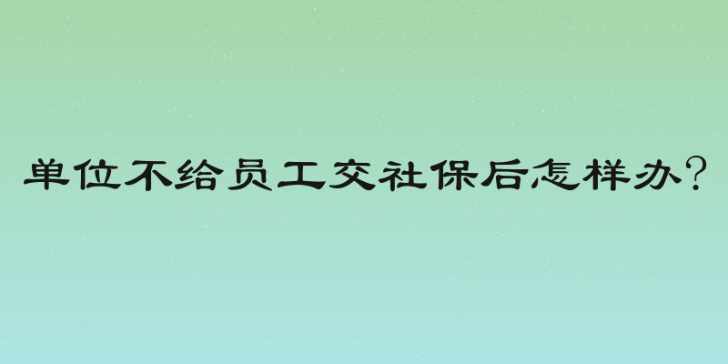 单位不给员工交社保后怎样办?