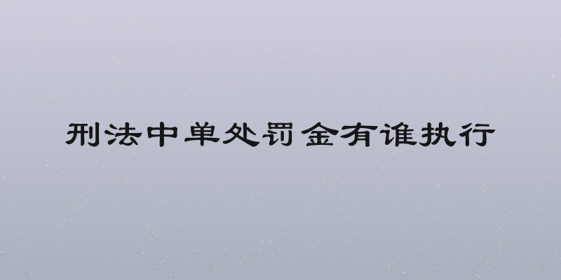 刑法中单处罚金有谁执行