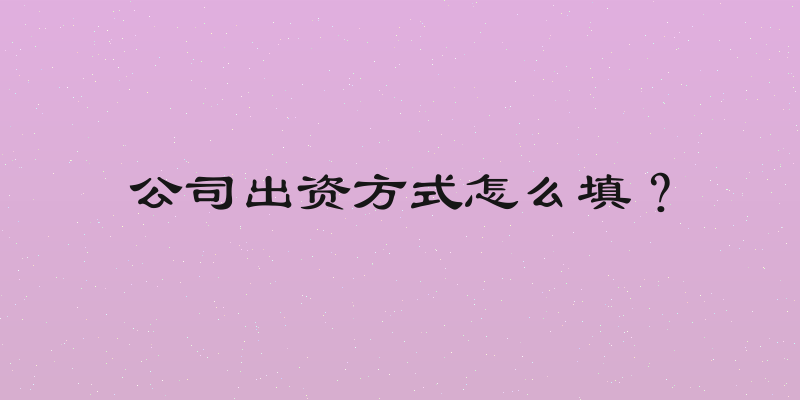 公司出资方式怎么填？