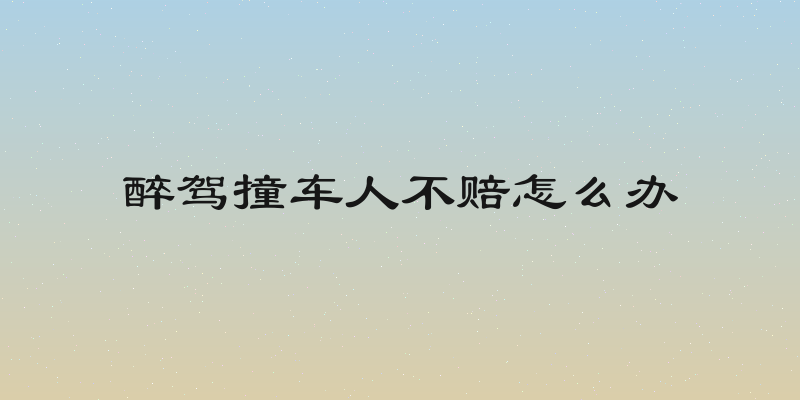 醉驾撞车人不赔怎么办