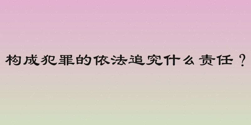 构成犯罪的依法追究什么责任？