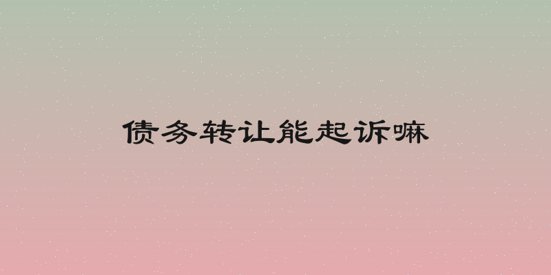 债务转让能起诉嘛