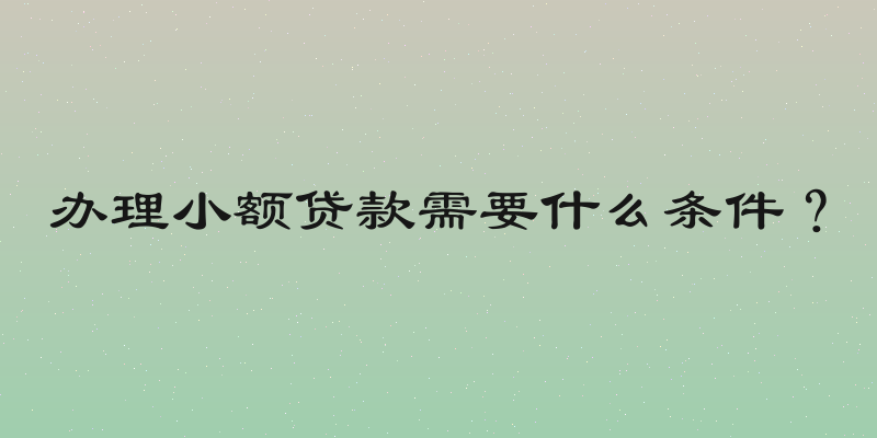 办理小额贷款需要什么条件？