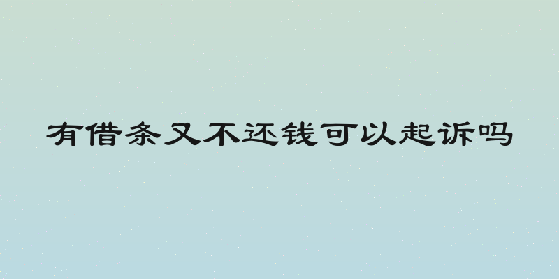 有借条又不还钱可以起诉吗