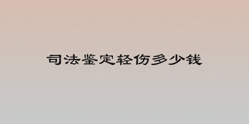 司法鉴定轻伤多少钱