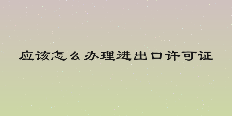 应该怎么办理进出口许可证