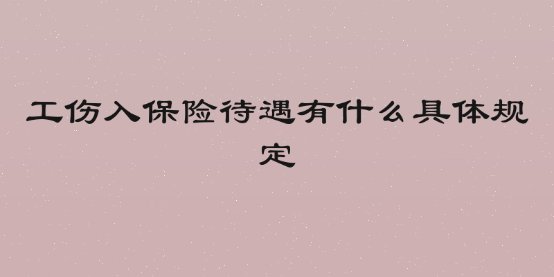 工伤入保险待遇有什么具体规定