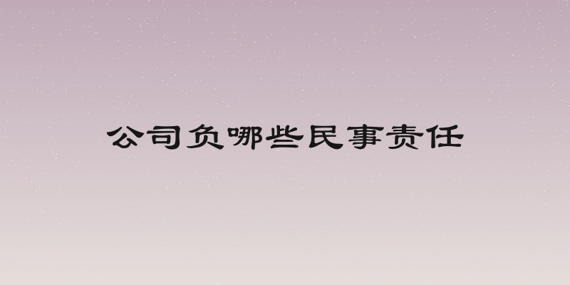公司负哪些民事责任