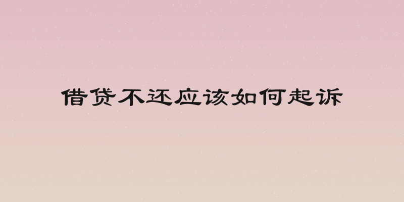 借贷不还应该如何起诉