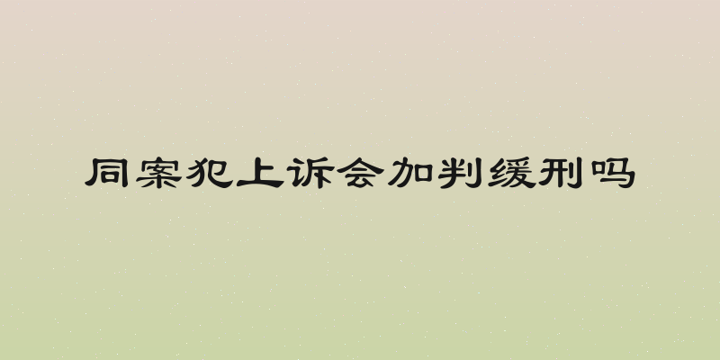同案犯上诉会加判缓刑吗