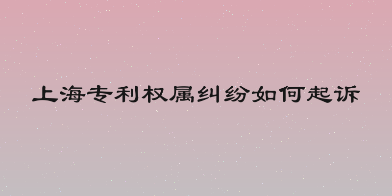 上海专利权属纠纷如何起诉