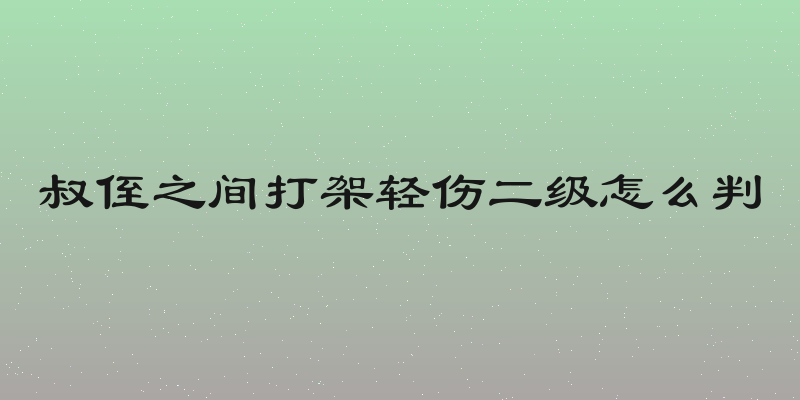 叔侄之间打架轻伤二级怎么判