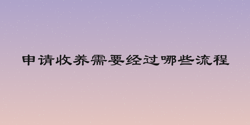 申请收养需要经过哪些流程