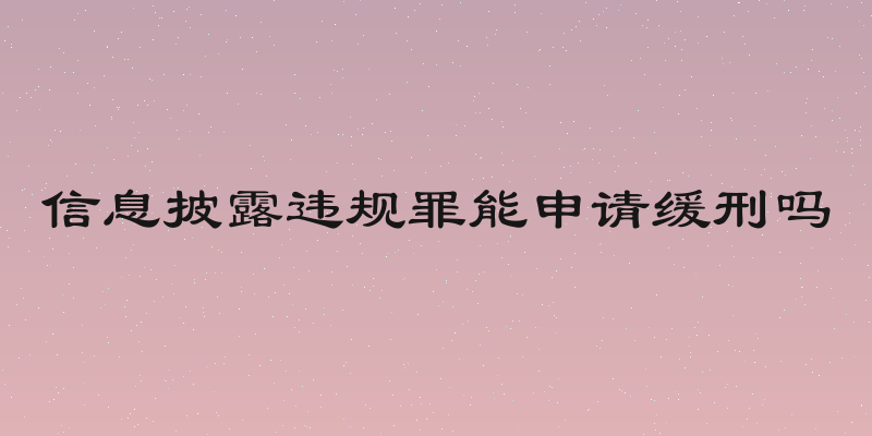 信息披露违规罪能申请缓刑吗