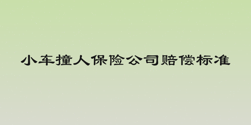 小车撞人保险公司赔偿标准
