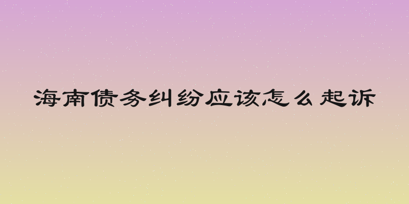 海南债务纠纷应该怎么起诉