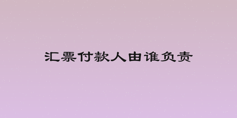 汇票付款人由谁负责