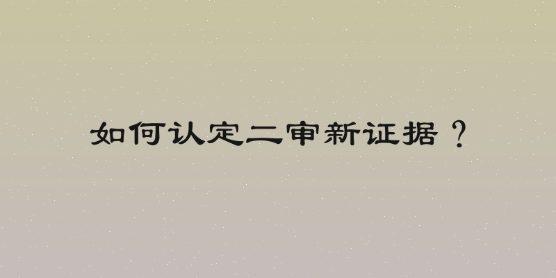 如何认定二审新证据？
