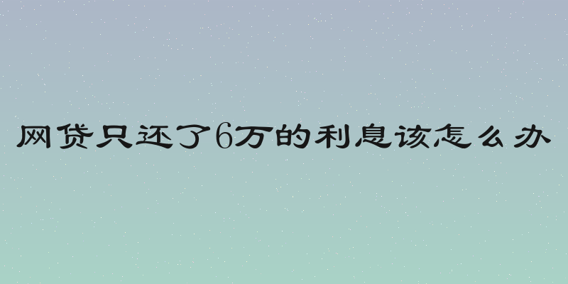 网贷只还了6万的利息该怎么办