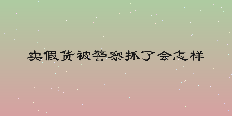 卖假货被警察抓了会怎样