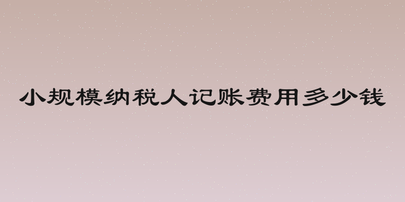 小规模纳税人记账费用多少钱