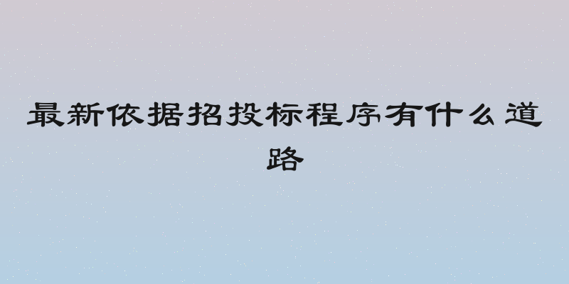 最新依据招投标程序有什么道路