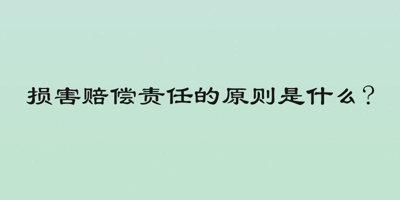 损害赔偿责任的原则是什么?