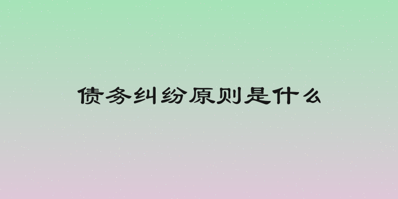 债务纠纷原则是什么