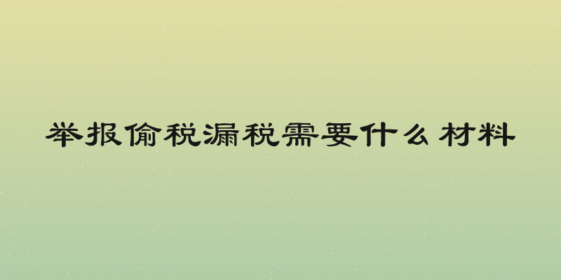 举报偷税漏税需要什么材料