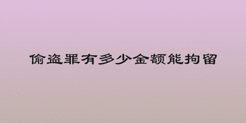 偷盗罪有多少金额能拘留