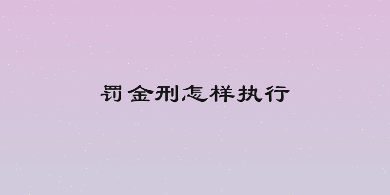 罚金刑怎样执行