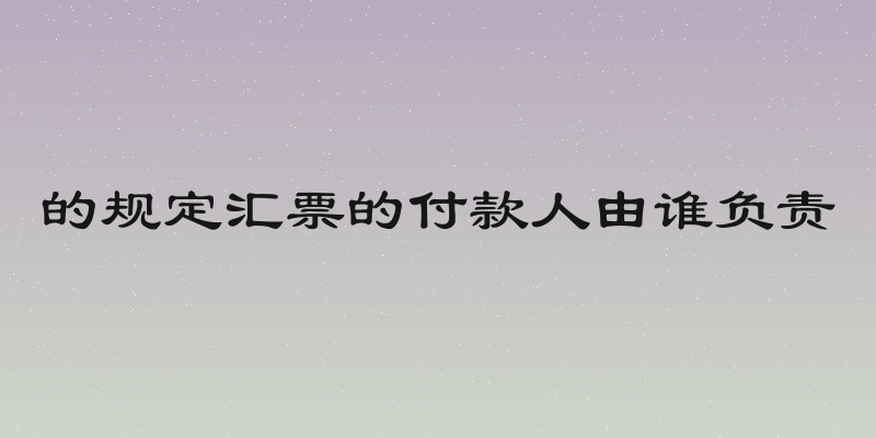 的规定汇票的付款人由谁负责