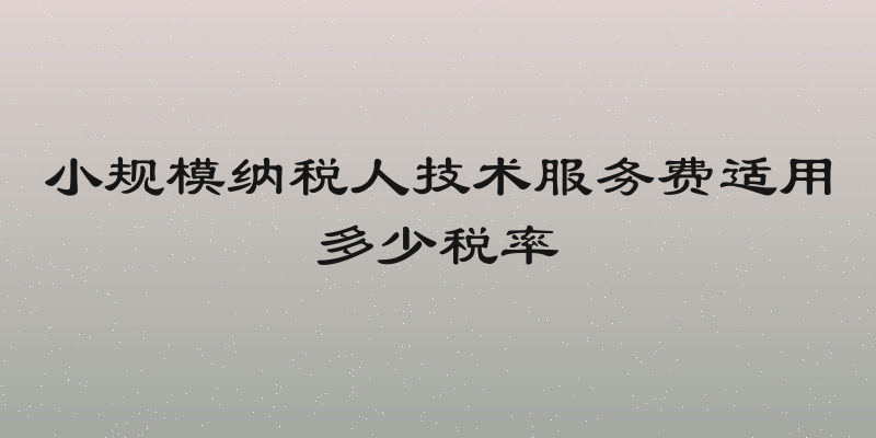 小规模纳税人技术服务费适用多少税率