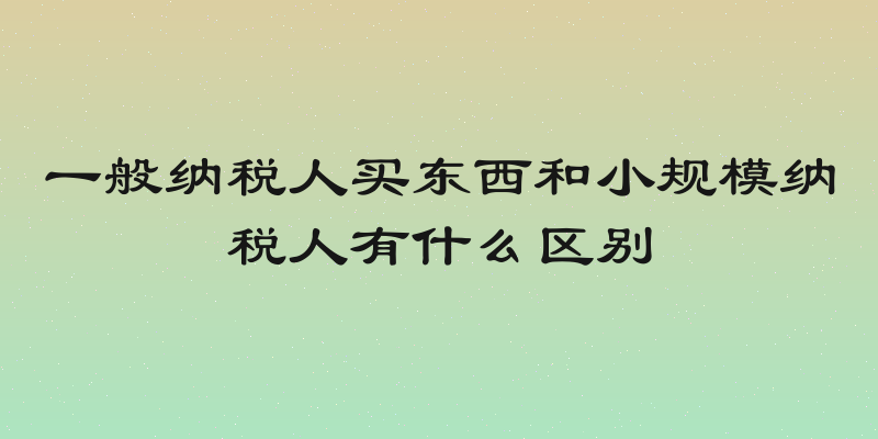 一般纳税人买东西和小规模纳税人有什么区别